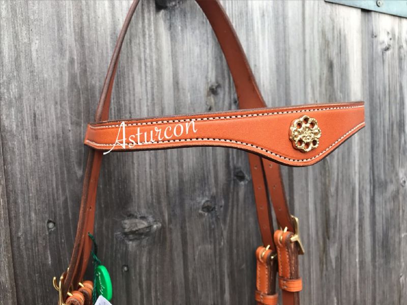 Lusitanius Portuguese Bridle